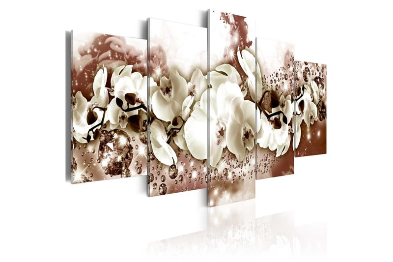 Taulu Chocolate Orchid 100x50, Artgeist sp. z o. o.