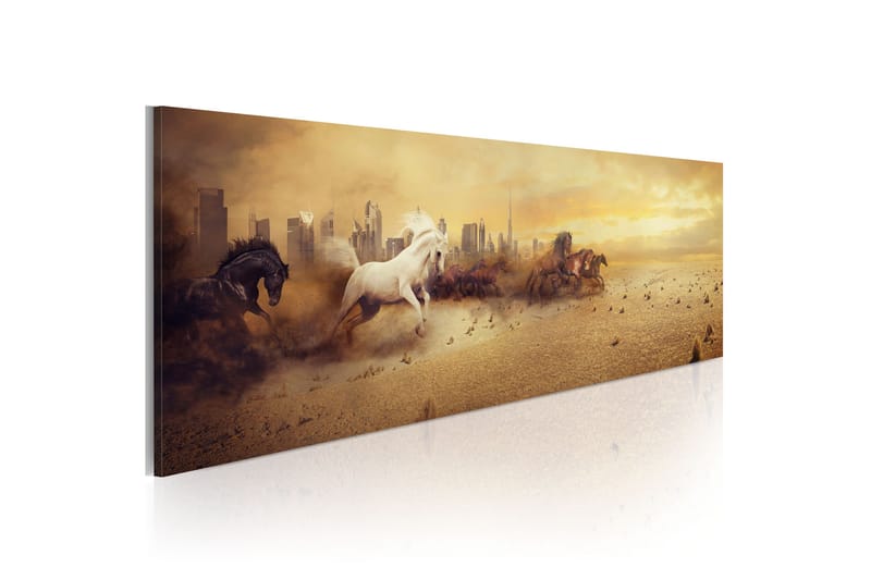 Taulu City Of Stallions 120x40, Artgeist sp. z o. o.