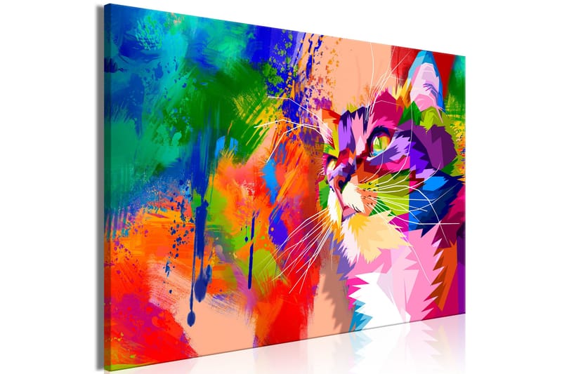 Taulu Colourful Cat (1 Part) Wide 90x60 - Artgeist sp. z o. o. - Sisustustuotteet - Taulu & taide - Canvas-taulu
