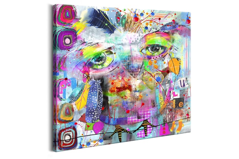 Taulu Colourful Owl 40x40 - Artgeist sp. z o. o. - Sisustustuotteet - Taulu & taide - Canvas-taulu