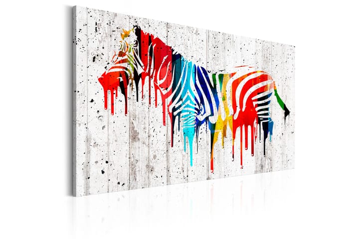 Taulu Colourful Zebra 120x80 - Artgeist sp. z o. o. - Seinäkoristeet - Canvas-taulu