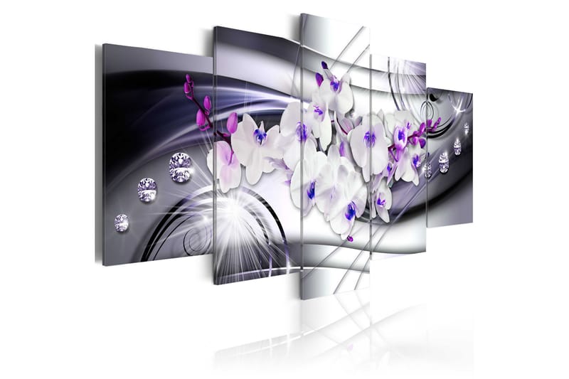 Taulu Coolness Of Orchid 200x100 - Artgeist sp. z o. o. - Sisustustuotteet - Taulu & taide - Canvas-taulu