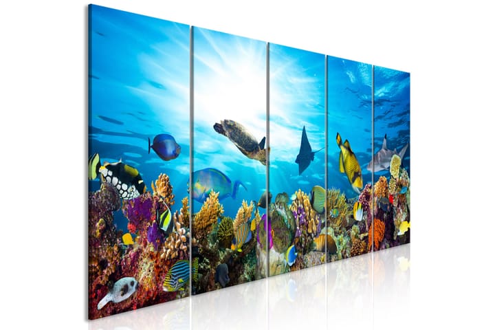 Taulu Coral Reef (5 Parts) Narrow 225x90 - Artgeist sp. z o. o. - Canvas-taulu - Seinäkoristeet