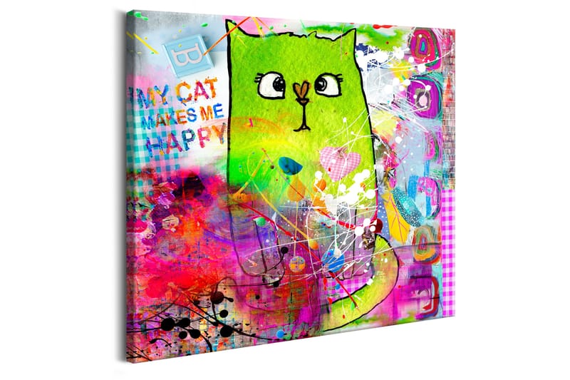 Taulu Crazy Cat 40x40 - Artgeist sp. z o. o. - Sisustustuotteet - Taulu & taide - Canvas-taulu