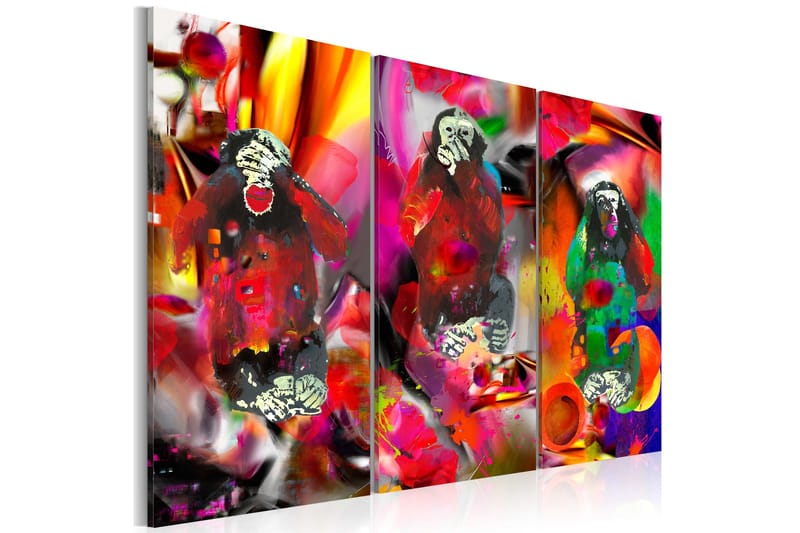 Taulu Crazy Monkeys triptych 120x80 - Artgeist sp. z o. o. - Sisustustuotteet - Taulu & taide - Canvas-taulu