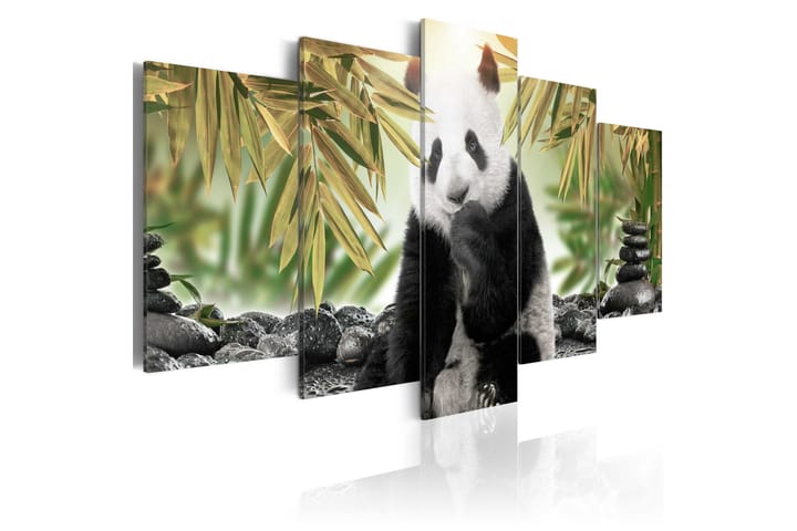 Taulu Cute Panda Bear 100x50 - Artgeist sp. z o. o. - Canvas-taulu - Seinäkoristeet