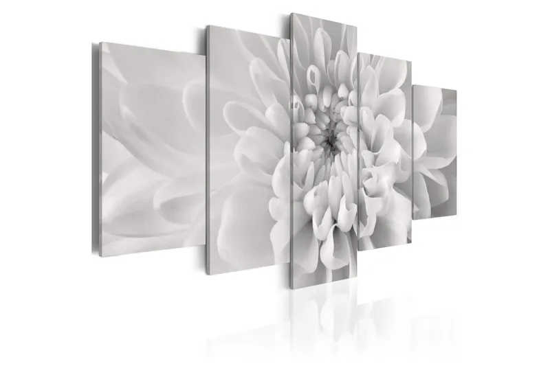 Taulu Dahlia Flower In Grey Shades 100x50, Artgeist sp. z o. o.