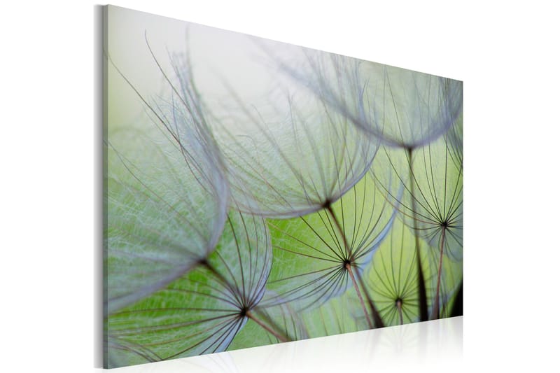 Taulu Dandelion in the wind 120x80, Artgeist sp. z o. o.