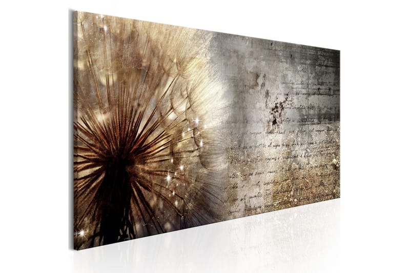 Taulu Dandelion On Concrete 150x50 - Artgeist sp. z o. o. - Sisustustuotteet - Taulu & taide - Canvas-taulu