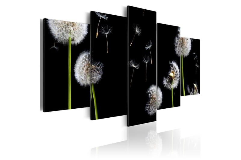 Taulu Dandelion- Towards Freedom 100x50, Artgeist sp. z o. o.