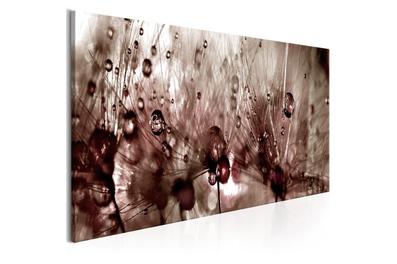 Taulu Dandelions After Rain 135x45, Artgeist sp. z o. o.