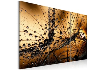 Taulu Dandelions and dew 90x60