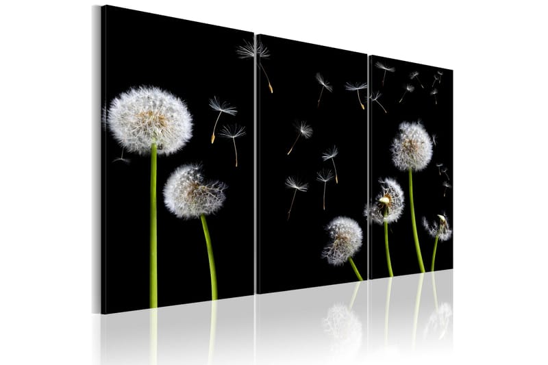 Taulu Dandelions Family 120x80 - Artgeist sp. z o. o. - Canvas-taulu - Seinäkoristeet