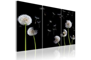 Taulu Dandelions Family 120x80