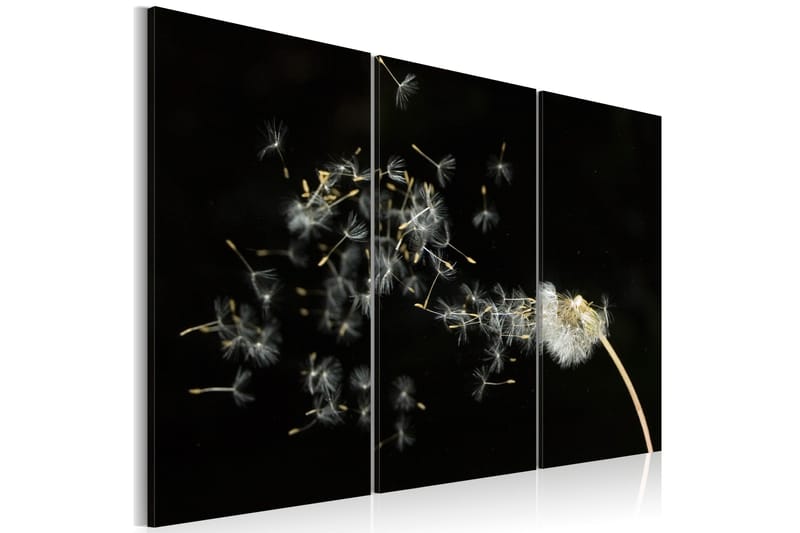Taulu Dandelions- The Transience 120x80, Artgeist sp. z o. o.