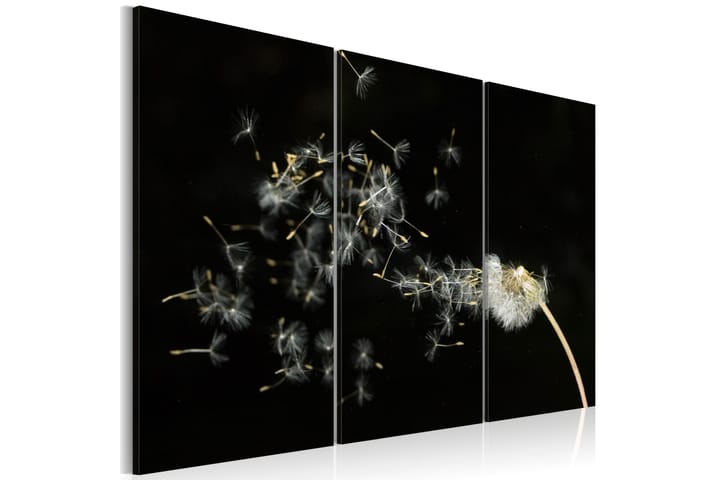 Taulu Dandelions- The Transience 120x80 - Artgeist sp. z o. o. - Canvas-taulu - Seinäkoristeet