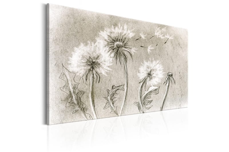 Taulu Dandelions (Pencil Artwork) 120x80 - Artgeist sp. z o. o. - Sisustustuotteet - Taulu & taide - Canvas-taulu