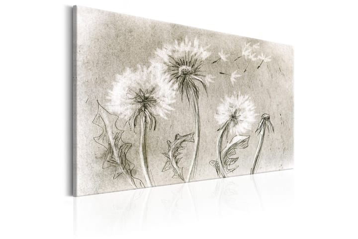 Taulu Dandelions (Pencil Artwork) 90x60 - Artgeist sp. z o. o. - Canvas-taulu - Seinäkoristeet