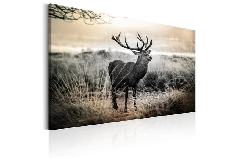 Taulu Dangerous Horns 120x80 - Artgeist sp. z o. o. - Sisustustuotteet - Taulu & taide - Canvas-taulu