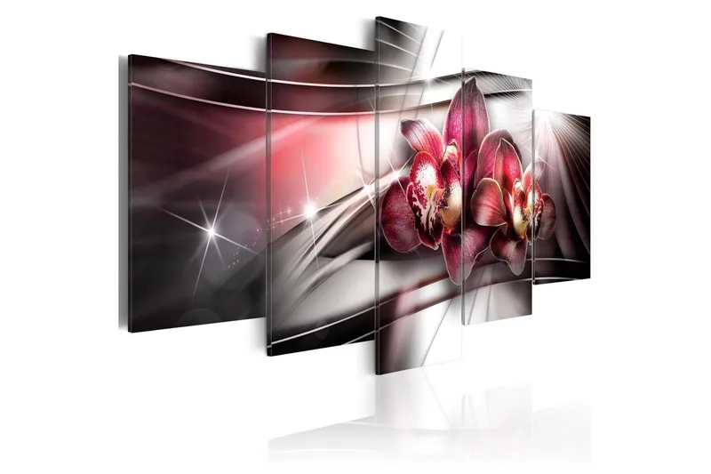 Taulu Dark Beauty 100x50, Artgeist sp. z o. o.