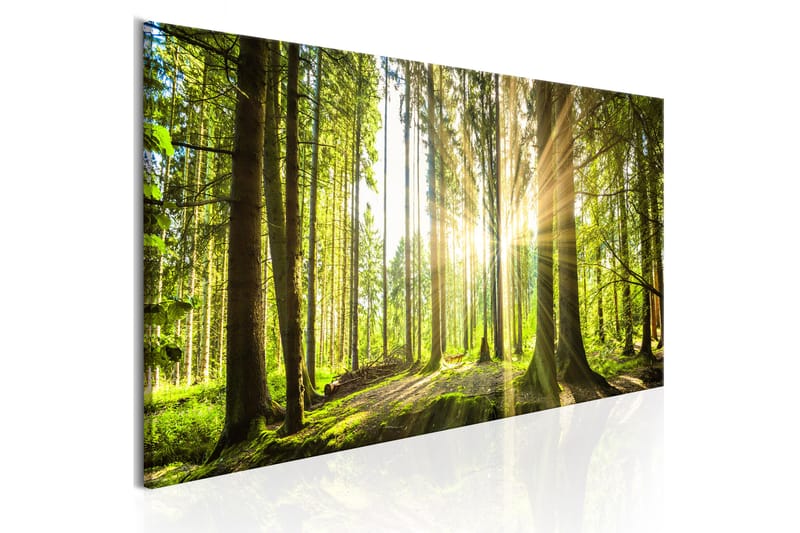 Taulu Daylight 135x45 - Artgeist sp. z o. o. - Sisustustuotteet - Taulu & taide - Canvas-taulu