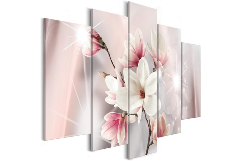 Taulu Dazzling Magnolias 5 Parts Wide 200x100, Artgeist sp. z o. o.