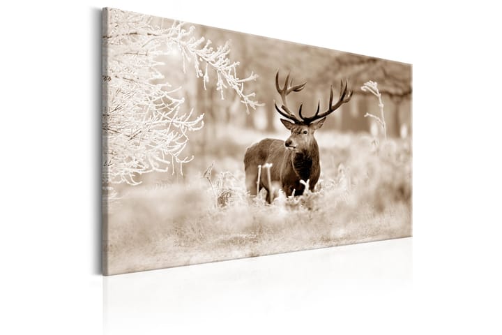 Taulu Deer In Sepia 120x80 - Artgeist sp. z o. o. - Seinäkoristeet - Canvas-taulu
