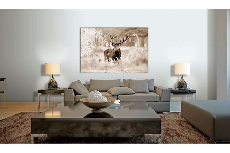 Taulu Deer In Sepia 90x60 - Artgeist sp. z o. o. - Sisustustuotteet - Taulu & taide - Canvas-taulu
