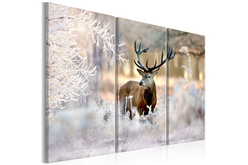 Taulu Deer In The Cold 120x80, Artgeist sp. z o. o.