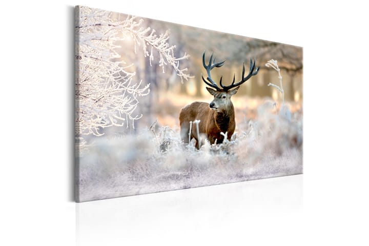 Taulu Deer In The Cold 120x80 - Artgeist sp. z o. o. - Canvas-taulu - Seinäkoristeet