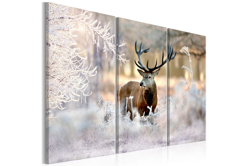 Taulu Deer In The Cold 90x60, Artgeist sp. z o. o.