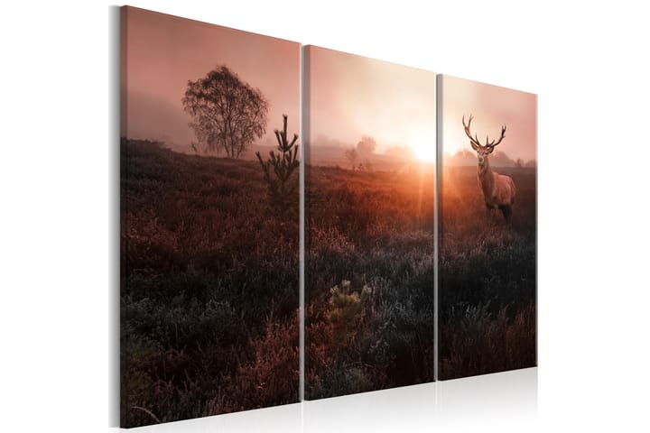Taulu Deer In The Sunshine 120x80 - Artgeist sp. z o. o. - Canvas-taulu - Seinäkoristeet