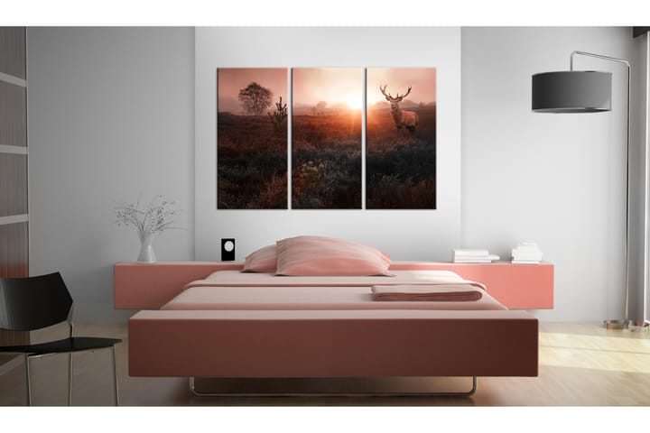 Taulu Deer In The Sunshine 90x60 - Artgeist sp. z o. o. - Canvas-taulu - Seinäkoristeet