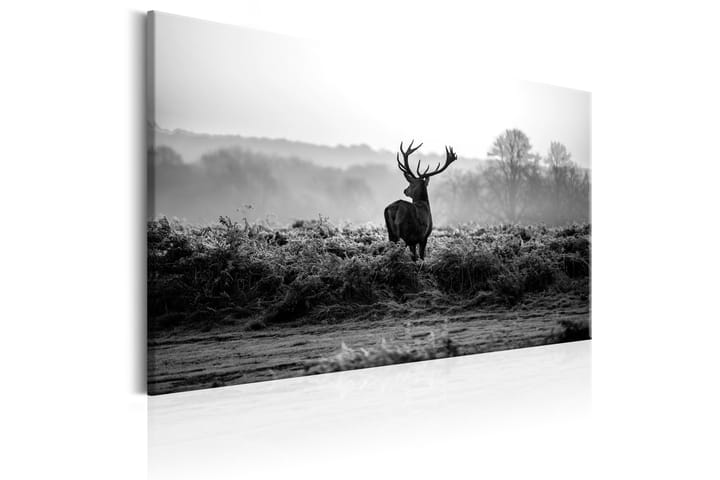 Taulu Deer in the Wild 90x60 - Artgeist sp. z o. o. - Canvas-taulu - Seinäkoristeet