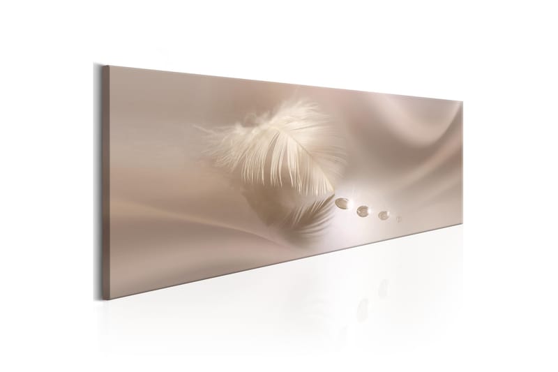 Taulu Delicate Feather 135x45 - Artgeist sp. z o. o. - Sisustustuotteet - Taulu & taide - Canvas-taulu
