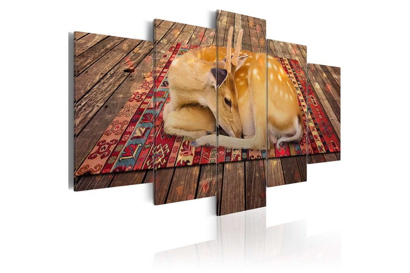 Taulu Domestication 5 Pieces 100x50, Artgeist sp. z o. o.