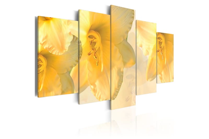 Taulu Dream Lilies 200x100, Artgeist sp. z o. o.