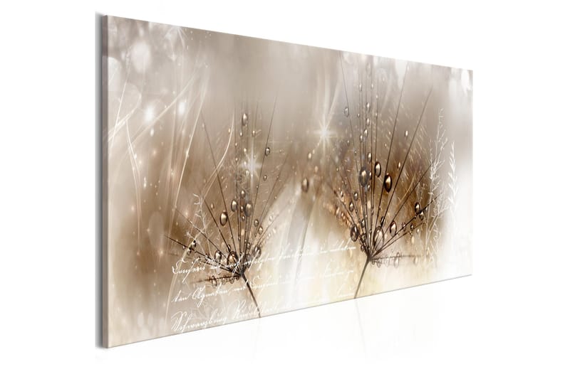 Taulu Drops Of Dew 1 Part Brown Narrow 150x50, Artgeist sp. z o. o.