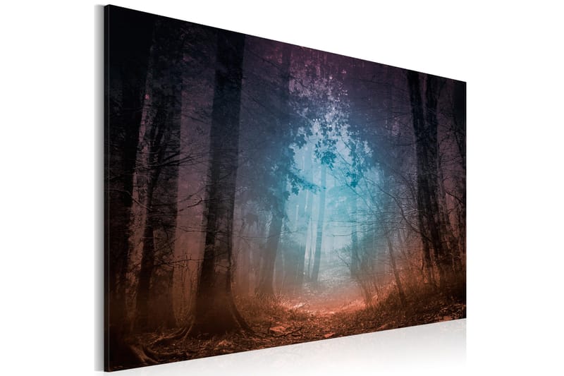 Taulu Edge of the forest 120x80, Artgeist sp. z o. o.