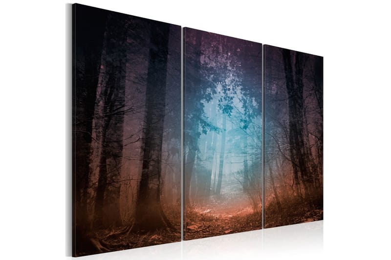 Taulu Edge Of The Forest Triptych 120x80, Artgeist sp. z o. o.