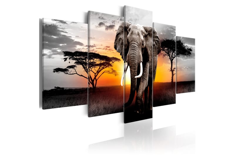 Taulu Elephant At Sunset 100x50 - Artgeist sp. z o. o. - Sisustustuotteet - Taulu & taide - Canvas-taulu