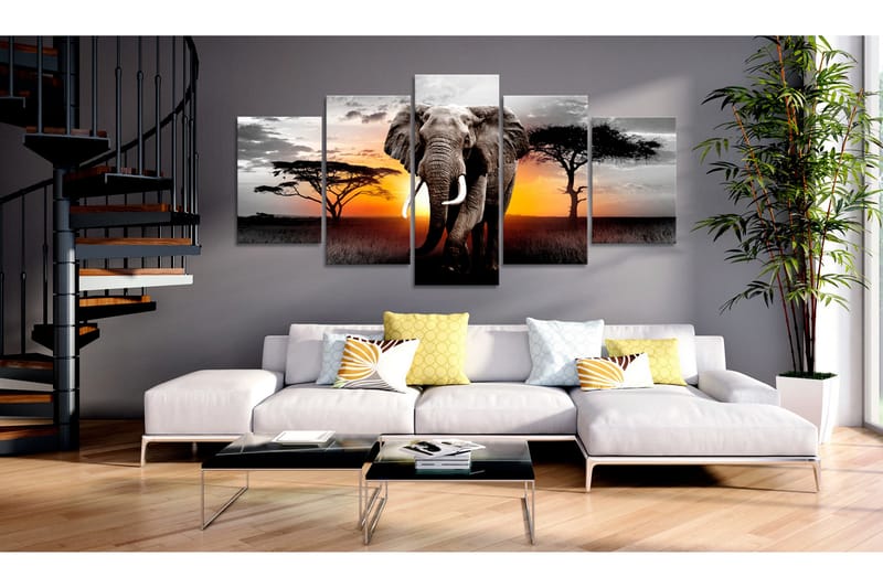 Taulu Elephant At Sunset 100x50 - Artgeist sp. z o. o. - Sisustustuotteet - Taulu & taide - Canvas-taulu