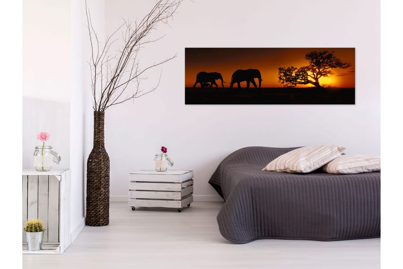 Taulu Elephant Family (Orange) 120x40, Artgeist sp. z o. o.