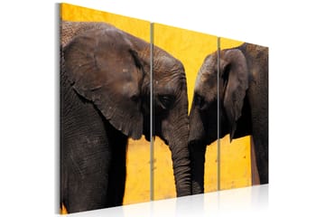 Taulu Elephant Kiss 120x80
