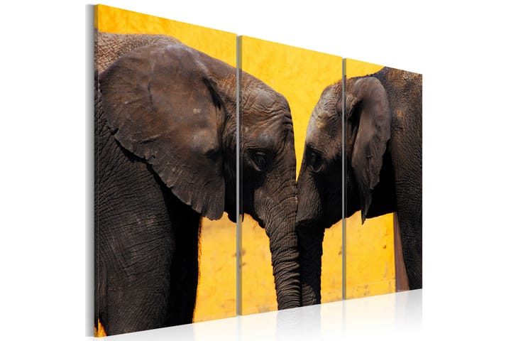Taulu Elephant Kiss 120x80 - Artgeist sp. z o. o. - Canvas-taulu - Seinäkoristeet