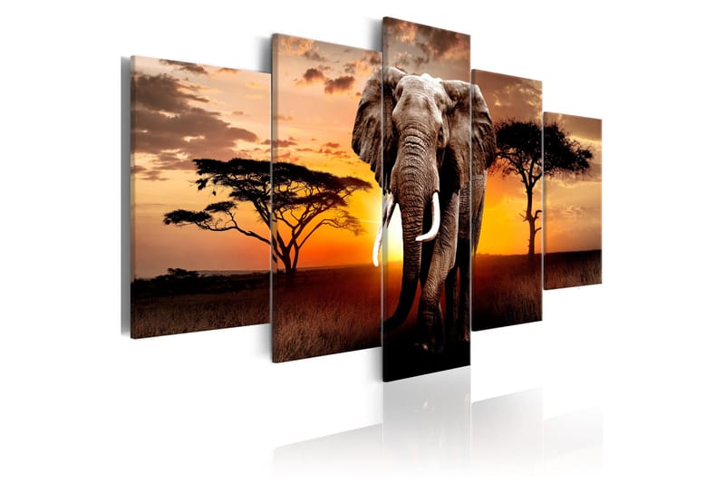 Taulu Elephant Migration 200x100, Artgeist sp. z o. o.