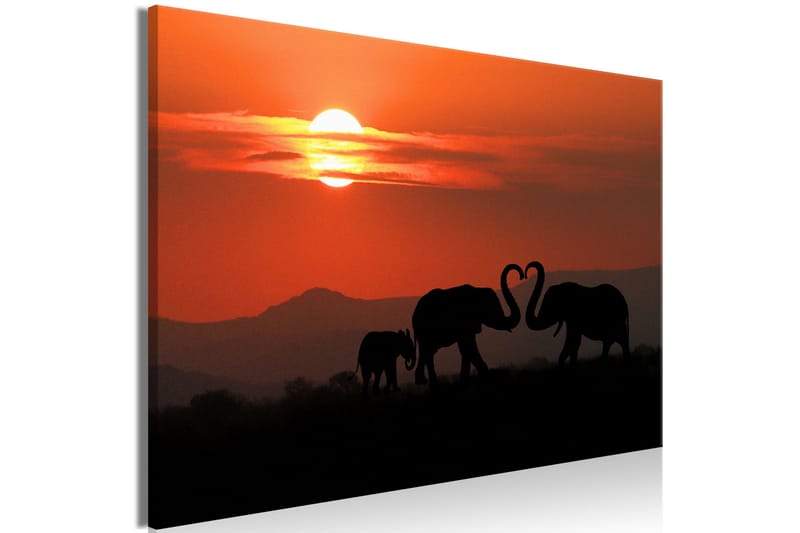 Taulu Elephants in Love (1 Part) Wide 120x80 - Artgeist sp. z o. o. - Sisustustuotteet - Taulu & taide - Canvas-taulu