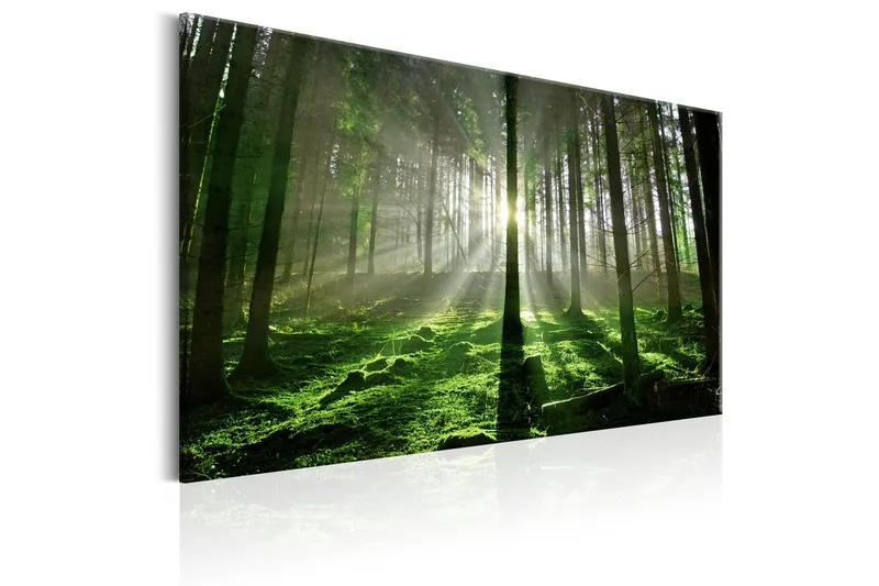 Taulu Emerald Forest II 90x60 - Artgeist sp. z o. o. - Sisustustuotteet - Taulu & taide - Canvas-taulu