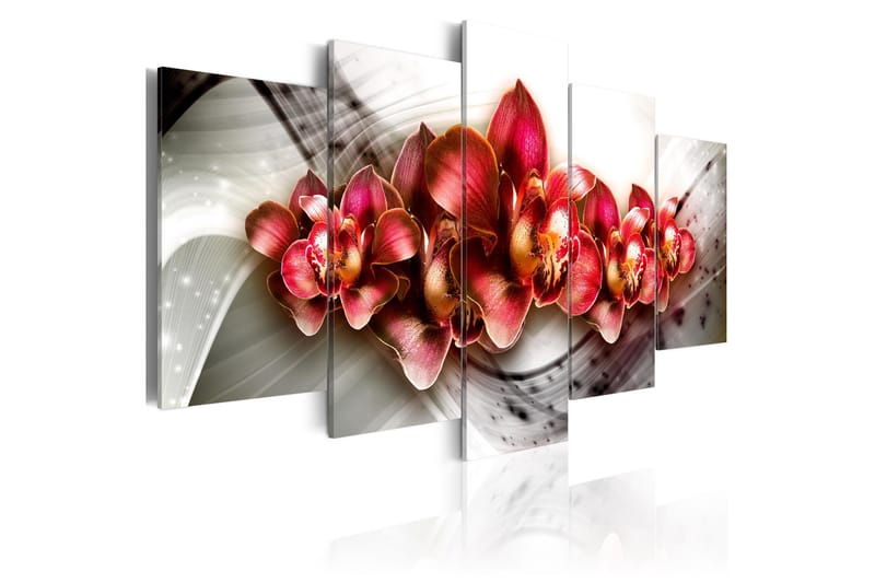Taulu Empire Of The Orchid 100x50, Artgeist sp. z o. o.