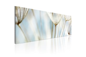 Taulu Ephemeral Moments 120x40